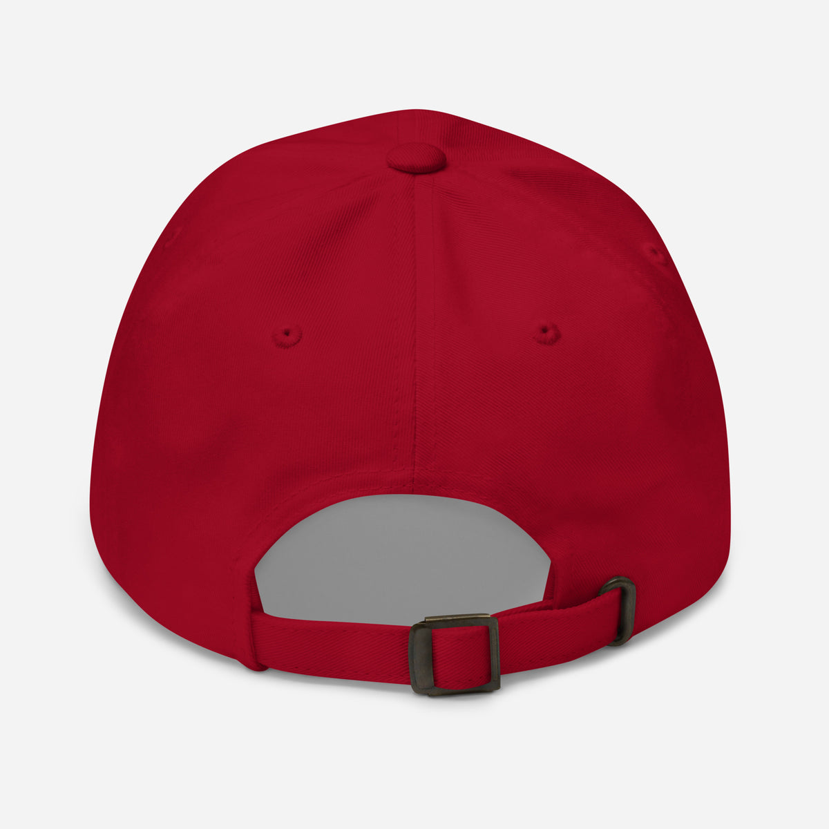 USAREUR-AF G2 Classic Dad Hat in Cranberry, back