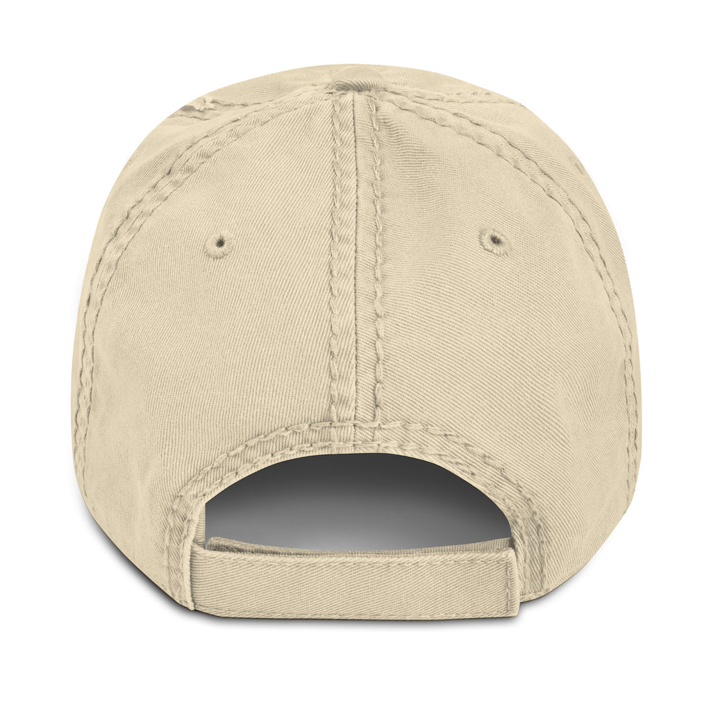 USAREUR-AF G2 Distressed Cap in Khaki, back